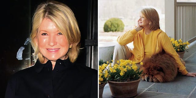 Hair, Blond, Hairstyle, Yellow, Iris, Plant, Long hair, Flower, Brown hair, Smile, 