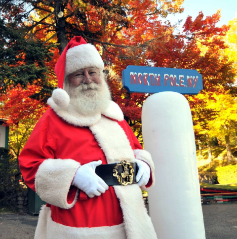 Santa claus, Tree, Fictional character, Fur, Christmas, Christmas eve, Fur clothing, Facial hair, Winter, Costume, 