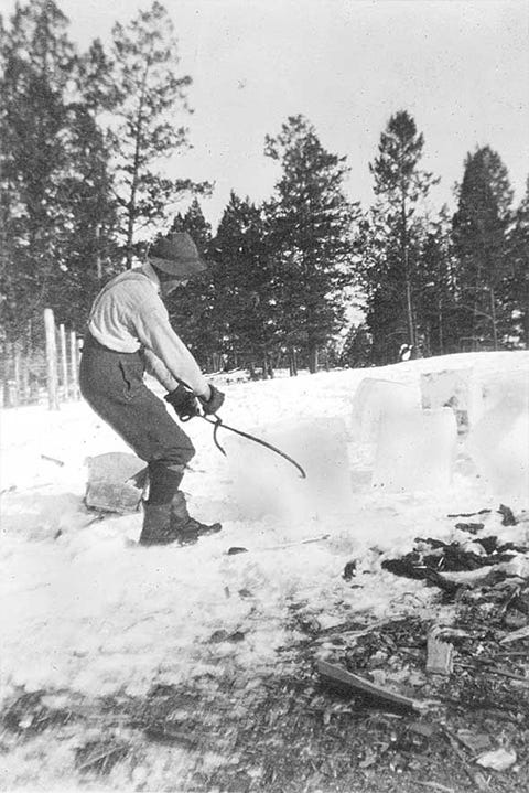 Snow, Tree, Winter, Shovel, Winter storm, Snow removal, Blizzard, Recreation, Plant, Pine family, 