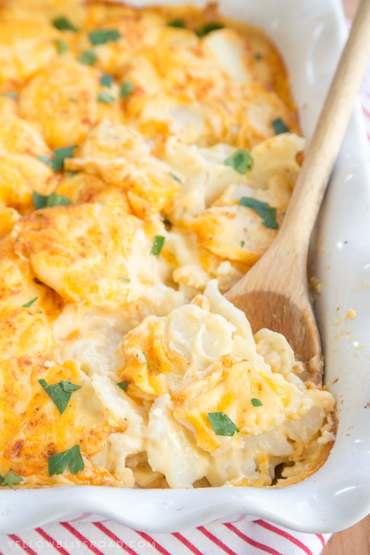 Dish, Food, Cuisine, Ingredient, Comfort food, Cauliflower cheese, Produce, Tuna casserole, Egg salad, Staple food, 
