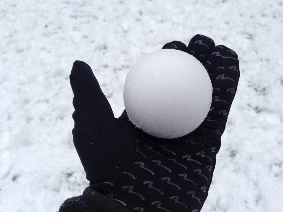 White, Black, Snow, Glove, Hand, Finger, Winter, Egg, Black-and-white, Photography, 