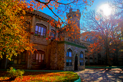 Landmark, Leaf, Tree, Autumn, Sky, Architecture, Building, Lighting, Home, Plant, 