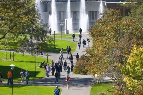 Public space, Park, Walking, Sidewalk, Garden, Pedestrian, Lawn, Walkway, Campus, Tourist attraction, 