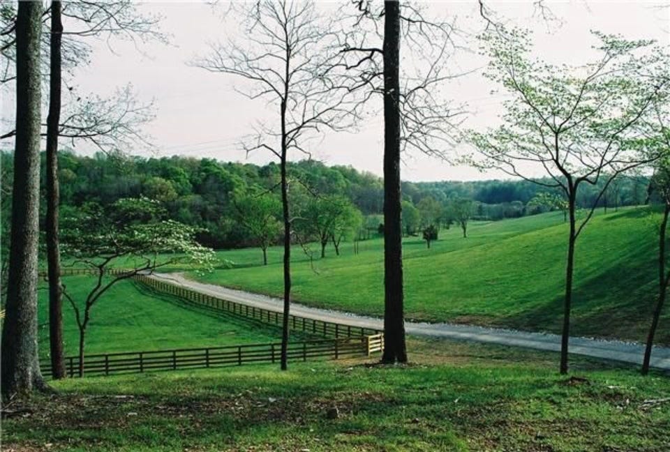 Natural landscape, Tree, Green, Pasture, Grass, Natural environment, Spring, Fence, Land lot, Rural area, 