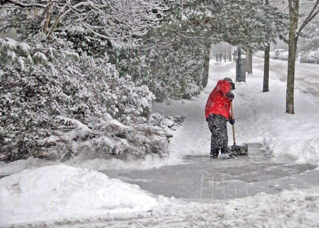 Snow, Winter, Freezing, Blizzard, Winter storm, Ice, Geological phenomenon, Tree, Snow removal, Playing in the snow, 
