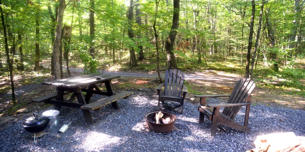 State park, Nature reserve, Tree, Natural environment, Wilderness, Woodland, Biome, Forest, Grove, Table, 
