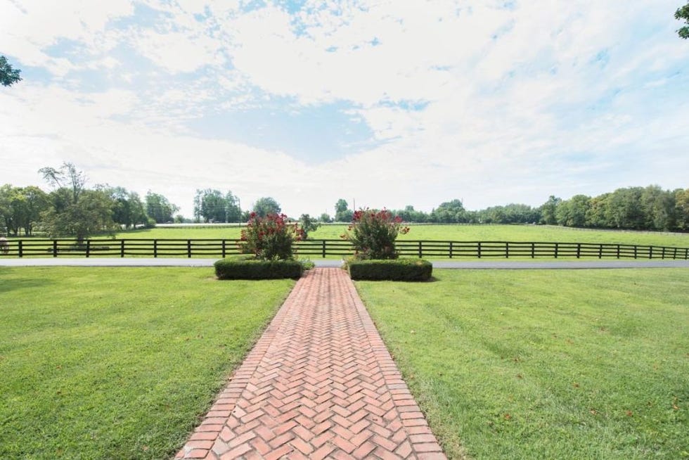 Property, Grass, Lawn, Tree, Land lot, Estate, House, Walkway, Grass family, Park, 