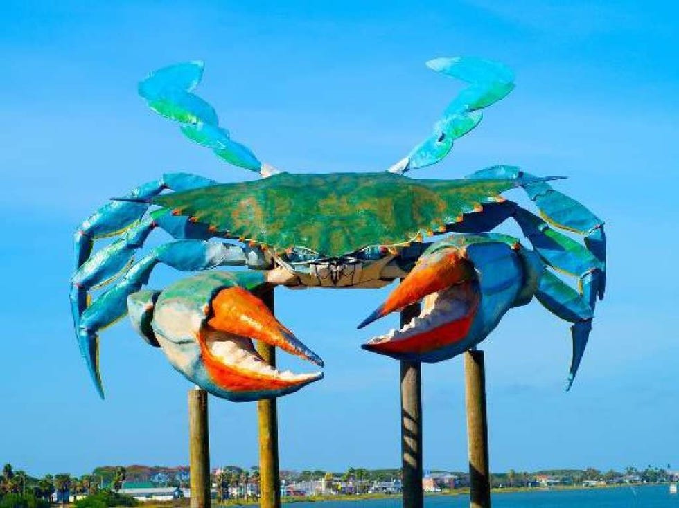 Blue, Organism, Arthropod, Aqua, Azure, Decapoda, Teal, Turquoise, Crab, Crustacean, 