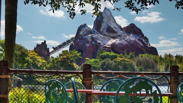 Flame Tree Barbecue