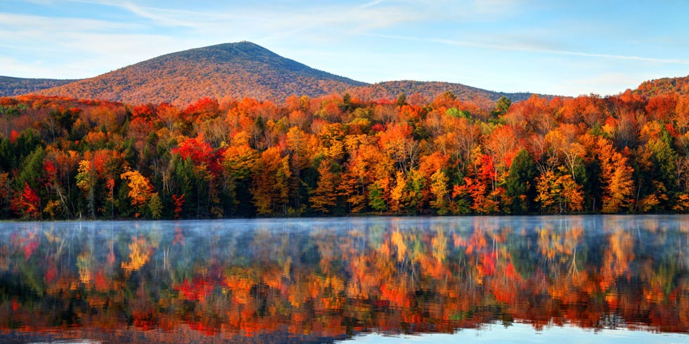 Reflection, Nature, Sky, Leaf, Natural landscape, Wilderness, Tree, Autumn, Natural environment, Orange, 