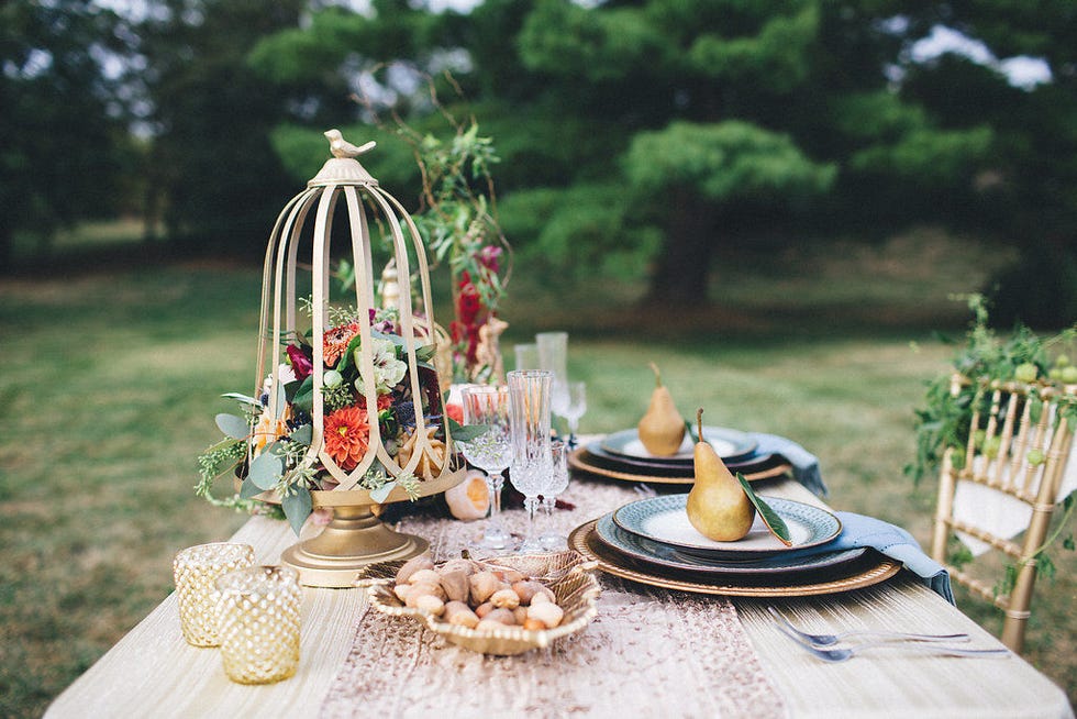 Photograph, Table, Meal, Brunch, Backyard, Tablecloth, Event, Centrepiece, Tableware, Teacup, 