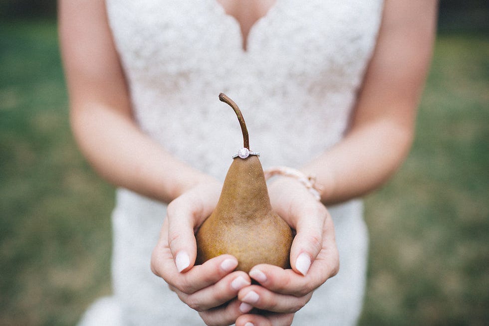 Pear, Hand, pear, Plant, Tree, Photography, Food, Fruit, Vegetable, Root vegetable, 
