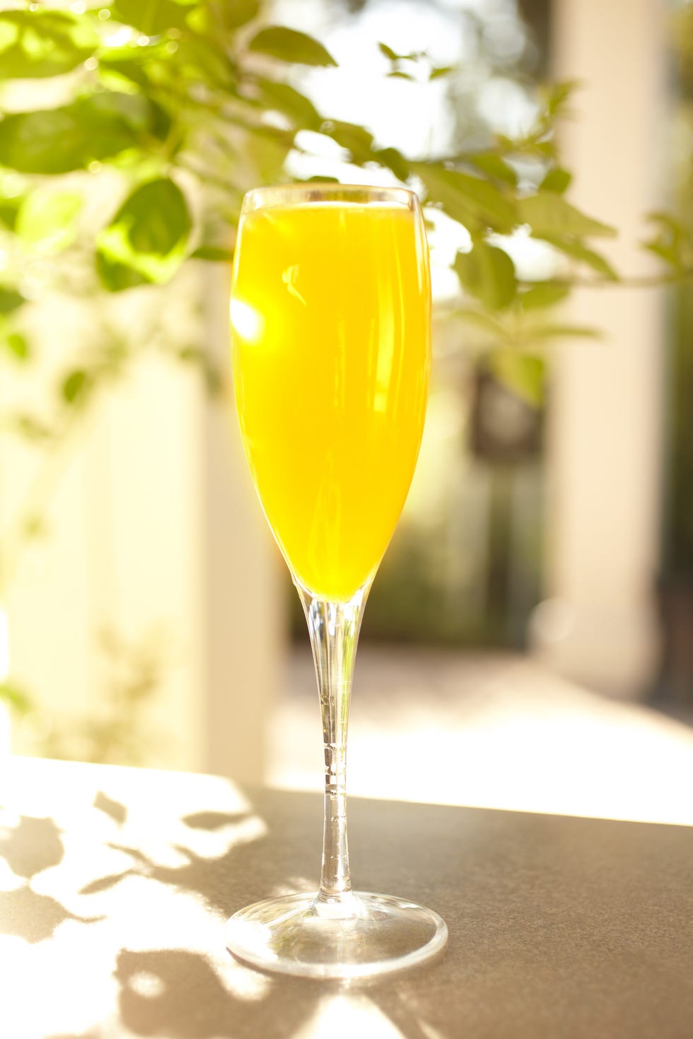 Drink, Champagne cocktail, Alcoholic beverage, Non-alcoholic beverage, Juice, Cocktail, Glass, Mimosa, Stemware, Distilled beverage, 