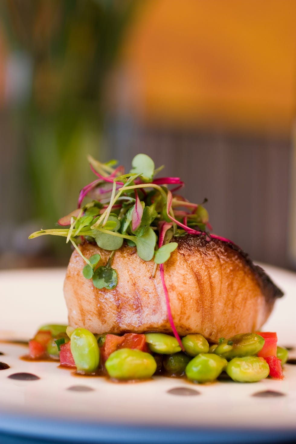 Food, Dish, Cuisine, Garnish, Ingredient, À la carte food, Produce, Recipe, Meat, Restaurant, 