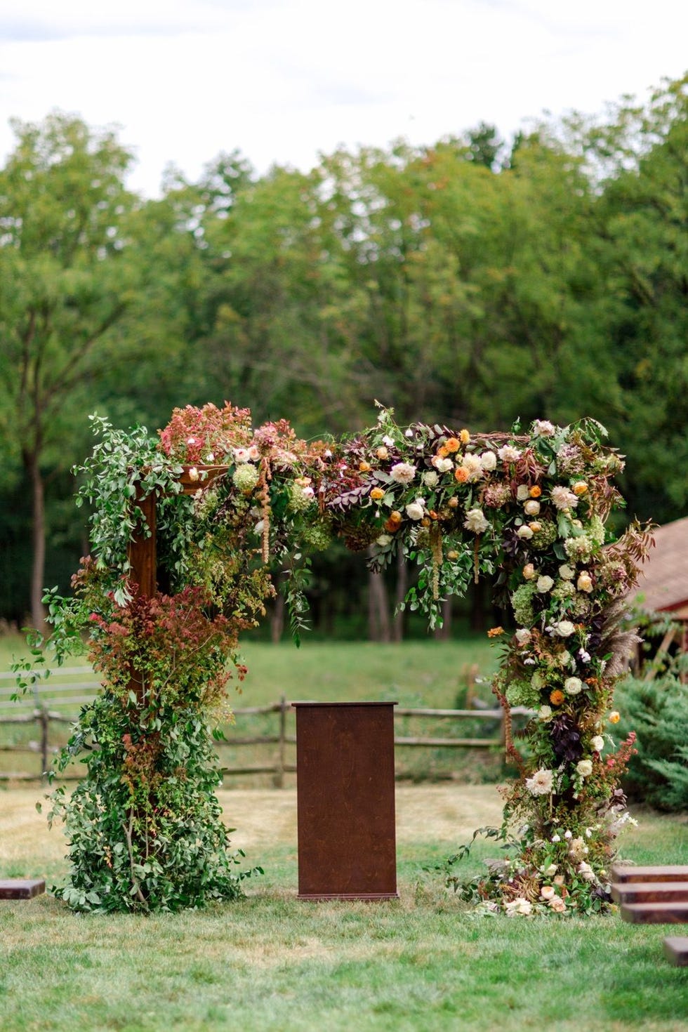 Plant, Garden, Flower, Botany, Grass, Backyard, Shrub, Architecture, Arch, Landscape, 