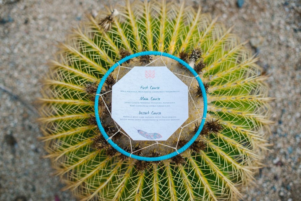 Cactus, Vegetation, Thorns, spines, and prickles, Terrestrial plant, Plant, Botany, Flower, Organism, Leaf, Adaptation, 