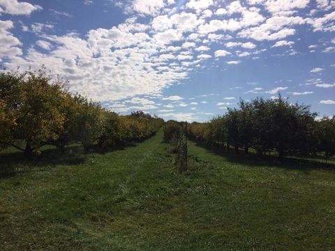Best Apple Picking Places Near Me - Apple Orchard Events Across America
