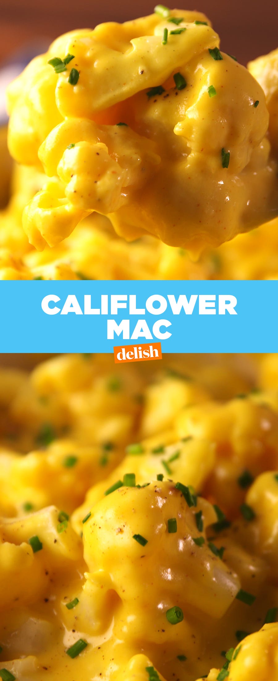 Dish, Cuisine, Food, Macaroni and cheese, Ingredient, Comfort food, Cauliflower cheese, Staple food, Recipe, Produce, 