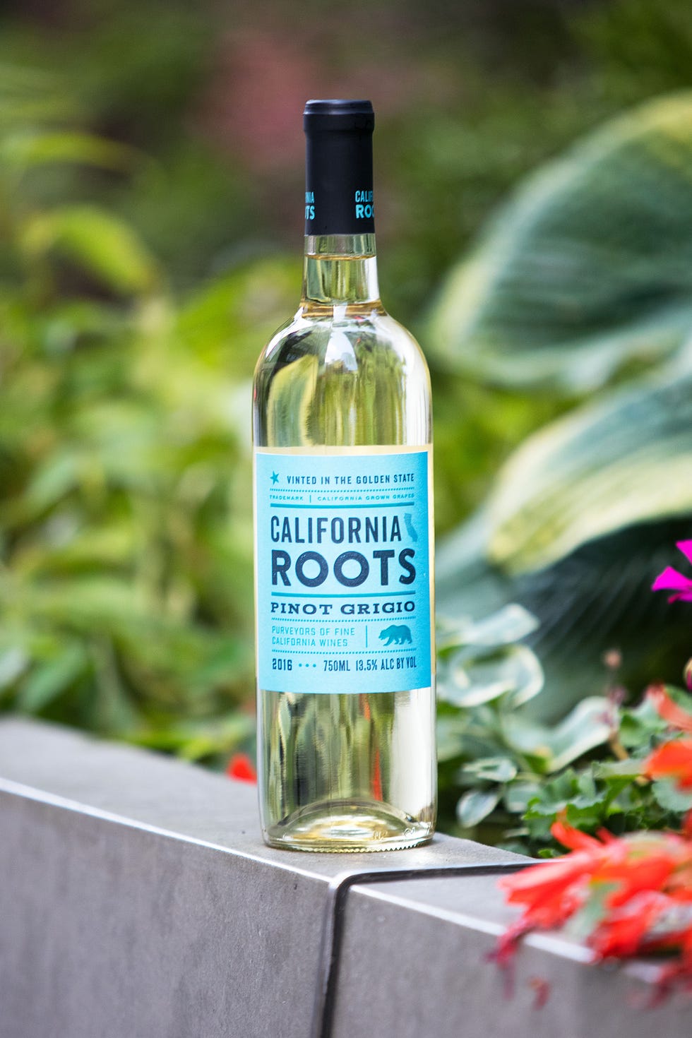 Liqueur, Bottle, Drink, Distilled beverage, Alcoholic beverage, Glass bottle, Alcohol, Plant, Wine bottle, 
