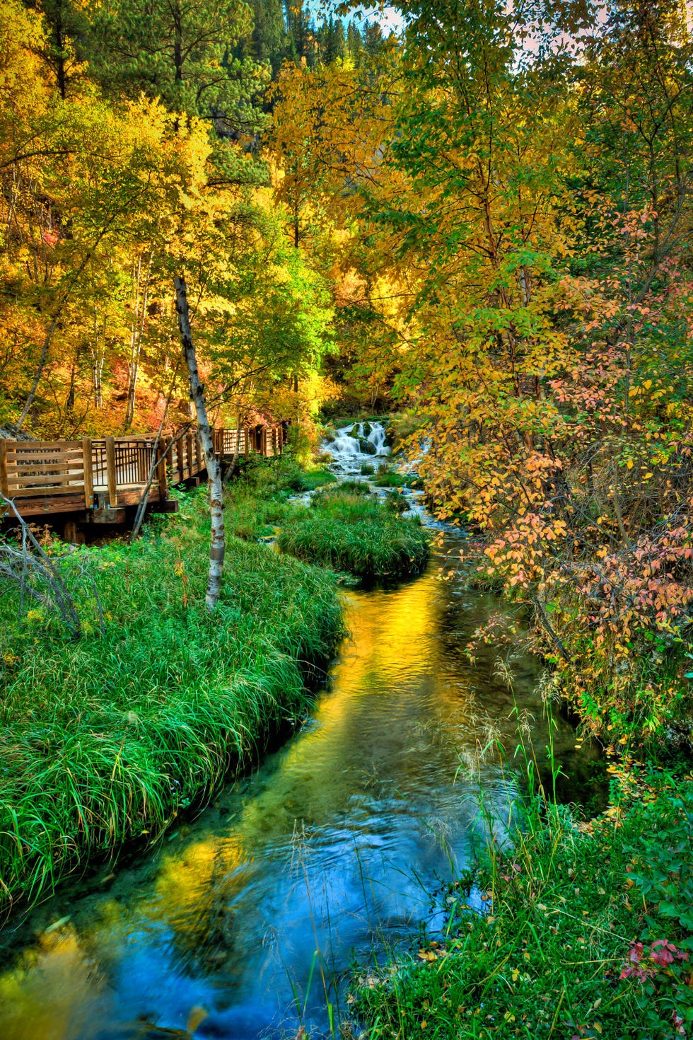Natural landscape, Nature, Body of water, Tree, Reflection, Water, Natural environment, Vegetation, Nature reserve, Watercourse, 