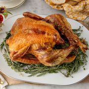 Oven Roast Turkey