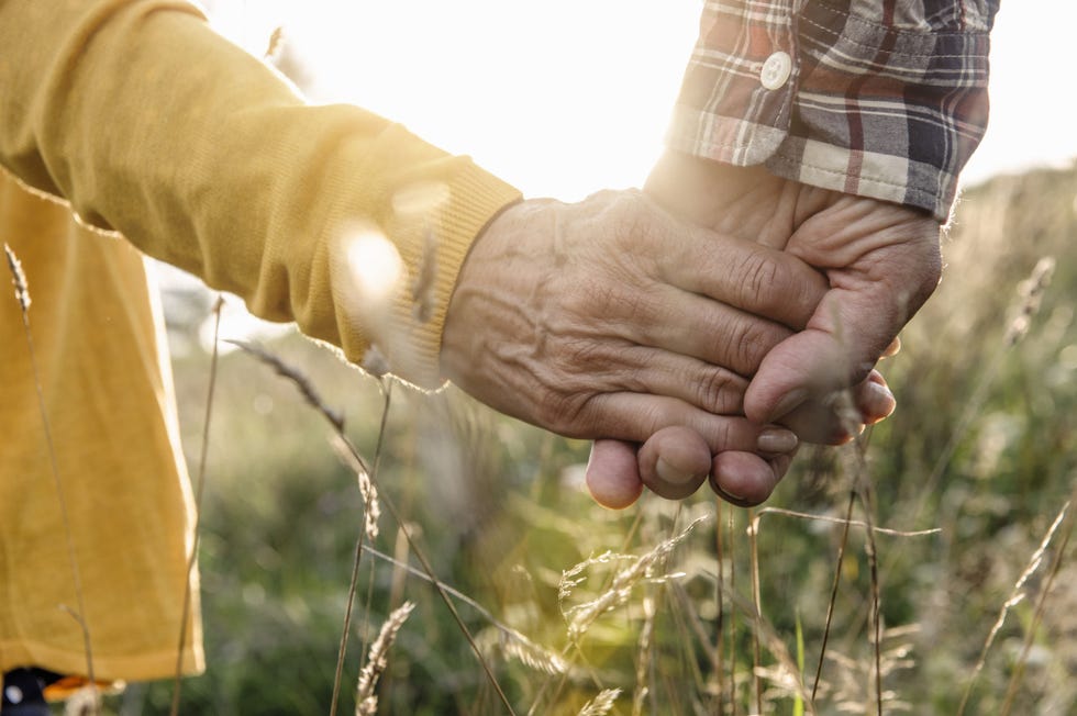 People in nature, Hand, Gesture, Finger, Adaptation, Interaction, Plant, Tree, Holding hands, Thumb, 