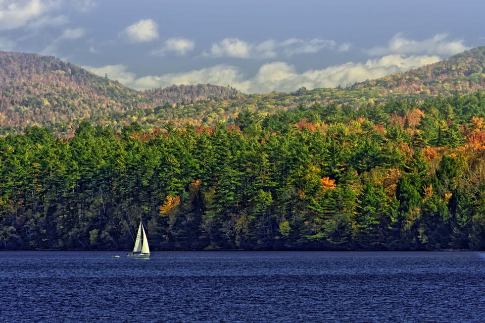 Water, Sky, Nature, Lake, Sailboat, Sail, Boat, Tree, Sound, Wilderness, 