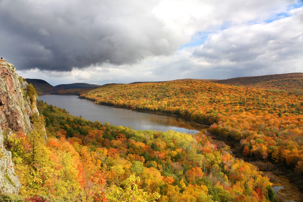 Nature, Natural landscape, Leaf, Sky, Wilderness, Vegetation, Natural environment, Autumn, Highland, Nature reserve, 