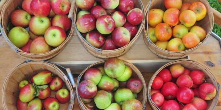 Best Places To Go Apple Picking - Apple Picking Near Me - Delish.com