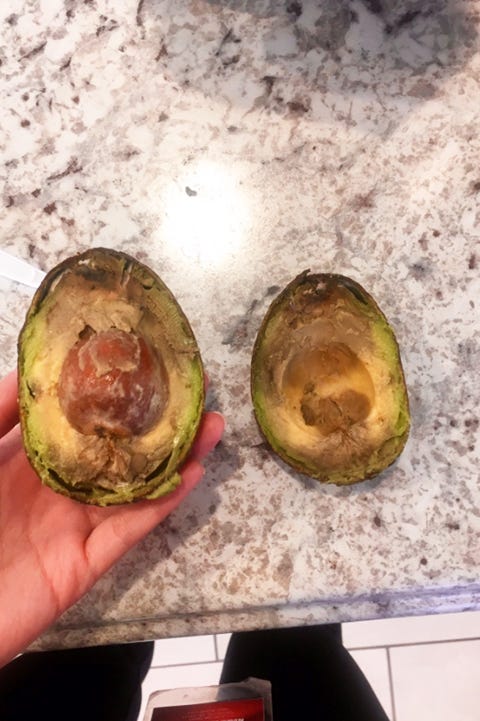 Avocado, Food, Fruit, Tree, Plant, Food spoilage, Oyster, Fig, 