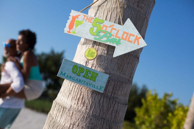 Tree, Woody plant, Sky, Banner, Adaptation, Plant, Recreation, Tourism, Signage, 