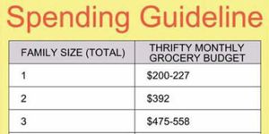 This Grocery Chart Will Help Your Budget