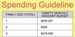 how much americans are really spending on their groceries each month
