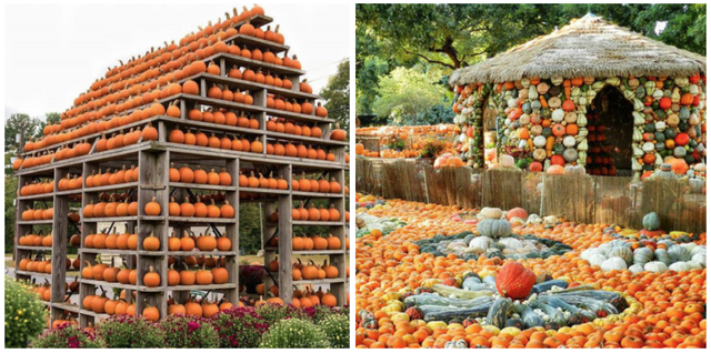 Building, Plant, Natural foods, 