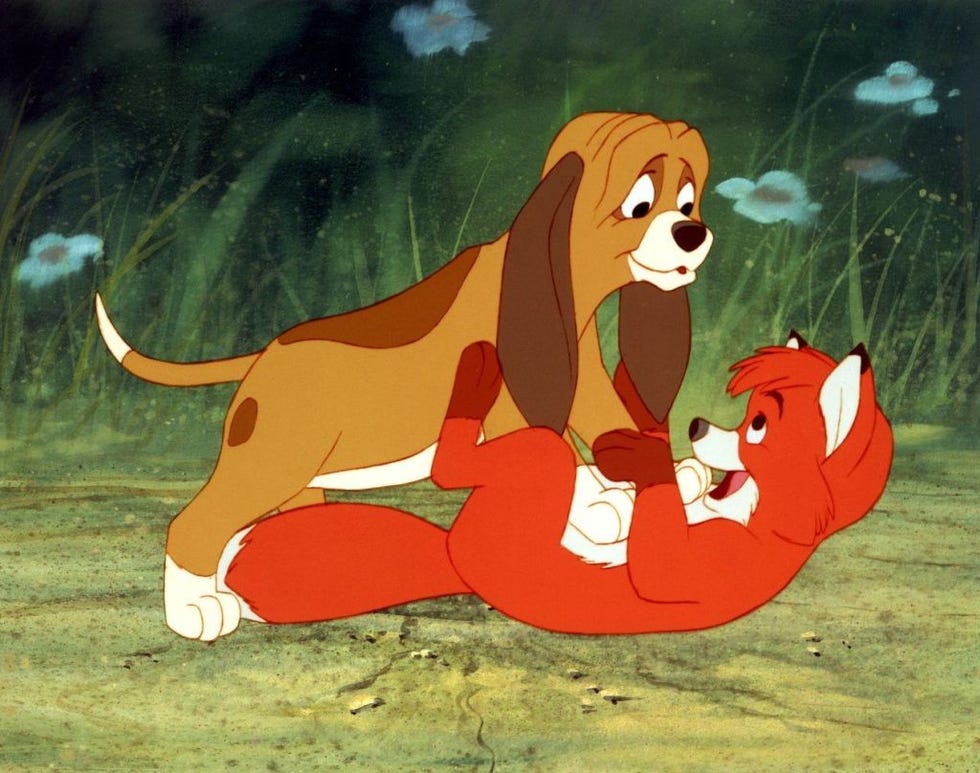 Vertebrate, Animated cartoon, Mammal, Cartoon, Dog, Canidae, Carnivore, Illustration, Basset hound, Dog breed, 