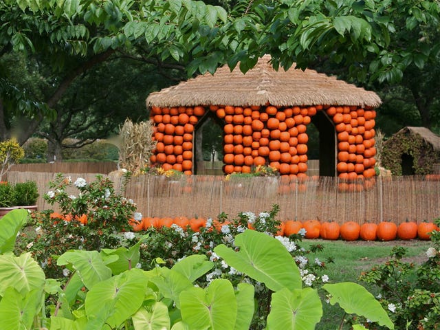 Botany, Garden, House, Plant, Botanical garden, Grass, Tree, Building, Cottage, Landscape, 