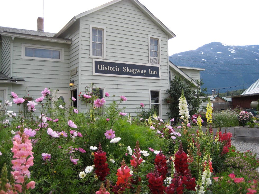 flower, plant, home, house, cottage, building, wildflower, real estate, hollyhocks, garden,