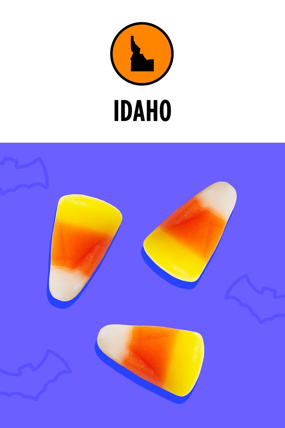 Orange, Logo, Font, Graphics, 