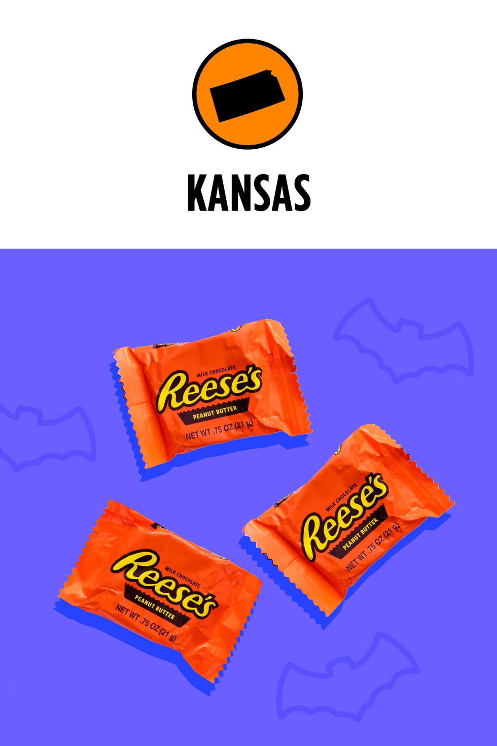Orange, Font, Logo, 
