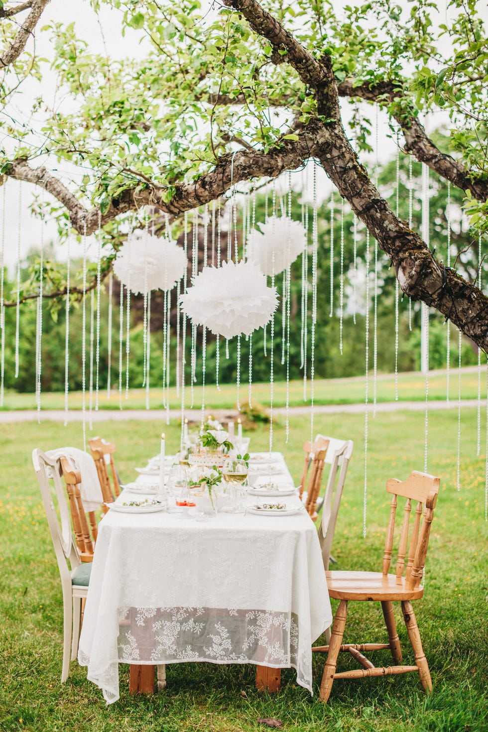 Photograph, Green, Tablecloth, Table, Chair, Furniture, Wedding reception, Yellow, Backyard, Tree, 