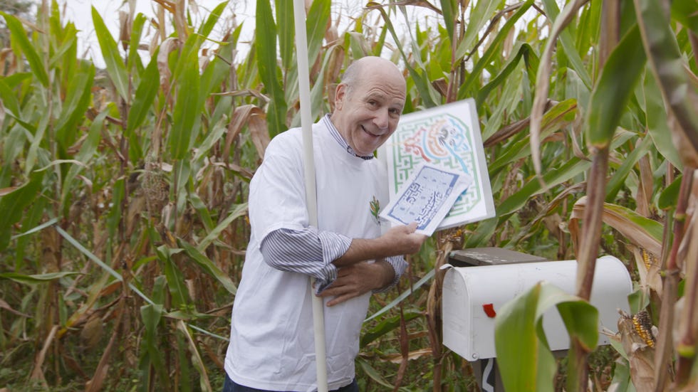 delish-corn-maze