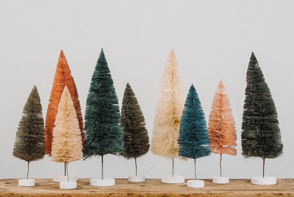 Tree, Christmas tree, oregon pine, Evergreen, Woody plant, Pine, Cone, Colorado spruce, Plant, Conifer, 
