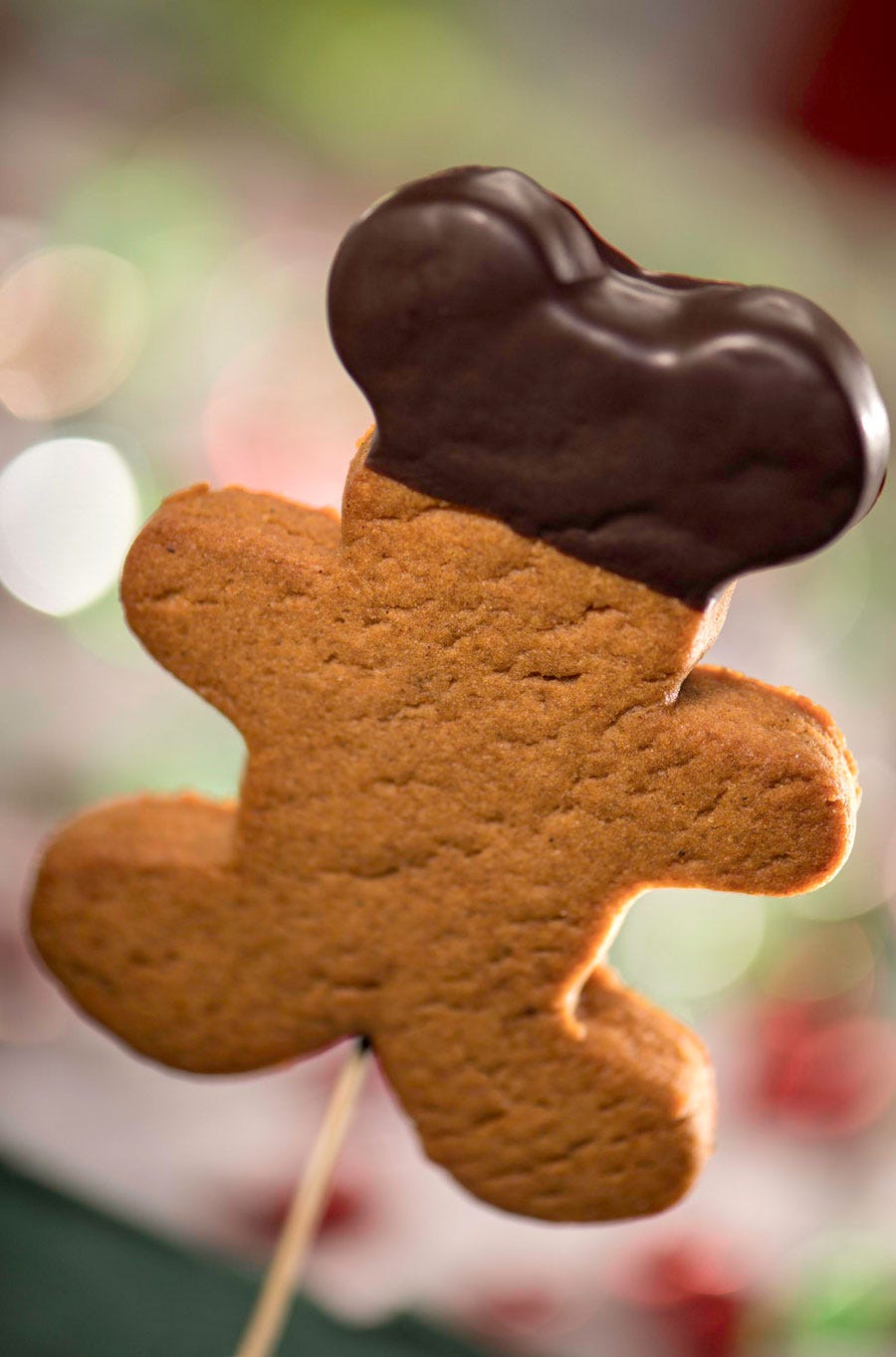 Gingerbread, Leaf, Cookie, Food, Snack, Cookies and crackers, Sweetness, Tree, Animal cracker, Dessert, 
