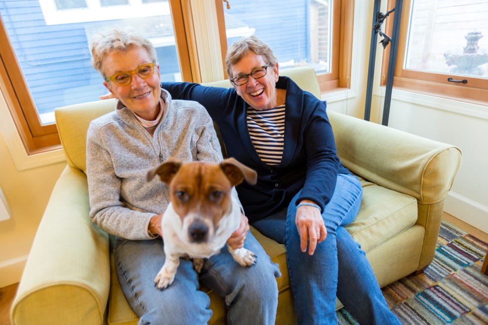 Dog, Canidae, Dog breed, Companion dog, Carnivore, Russell terrier, Fox terrier, Jack russell terrier, Family, Danish swedish farmdog, 