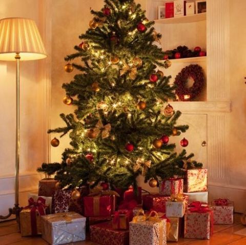 Christmas tree, Christmas decoration, Christmas, Christmas eve, Room, Christmas ornament, Tree, Home, Hearth, Living room, 