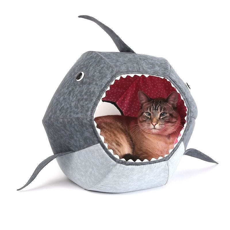 Cat, Small to medium-sized cats, Felidae, Whiskers, Cat furniture, Cat bed, Cat supply, Fawn, Kitten, 