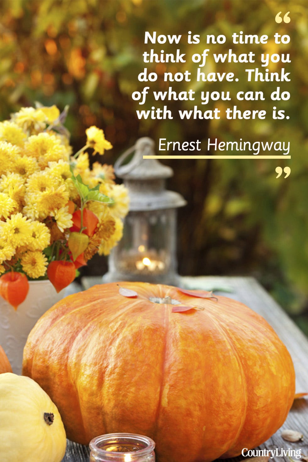 Pumpkin, Calabaza, Winter squash, Cucurbita, Gourd, Natural foods, Thanksgiving, Vegetable, Food, Plant, 