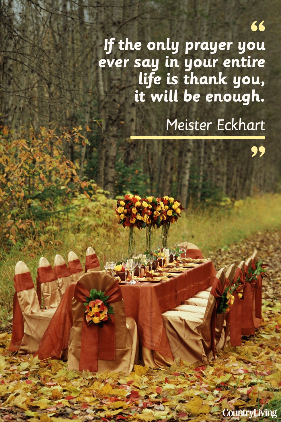 Leaf, Event, Table, Adaptation, Autumn, Tablecloth, Meal, Party, Plant, Thanksgiving, 