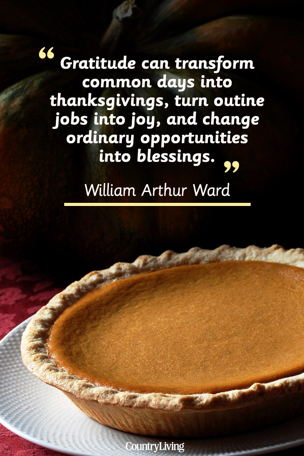 Dish, Food, Sweet potato pie, Pie, Butter pie, Pumpkin pie, Cuisine, Chess pie, Baked goods, Ingredient, 