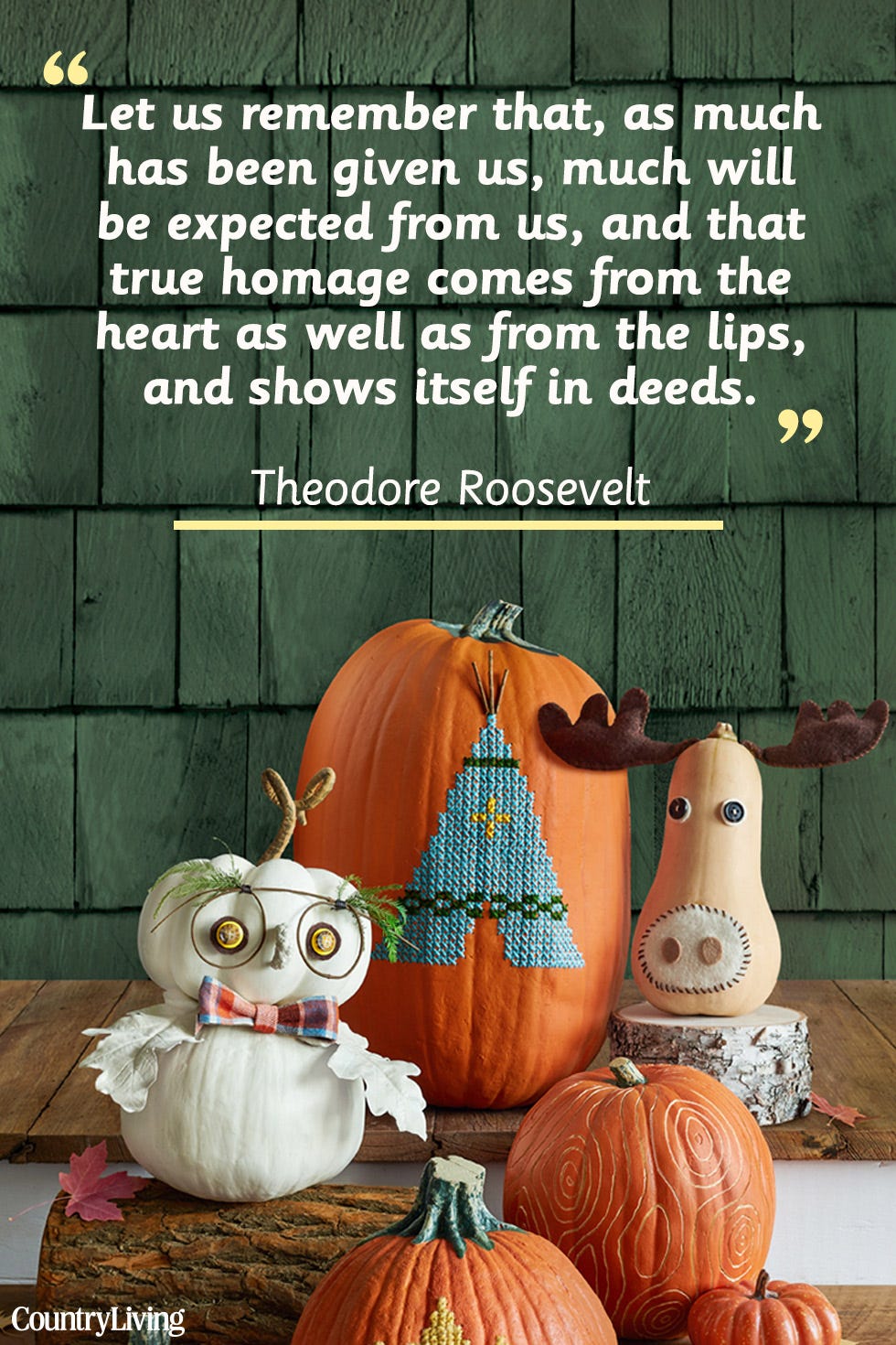 Pumpkin, Calabaza, Winter squash, Cucurbita, trick-or-treat, Gourd, Vegetable, Squash, Jack-o'-lantern, Cucumber, gourd, and melon family, 